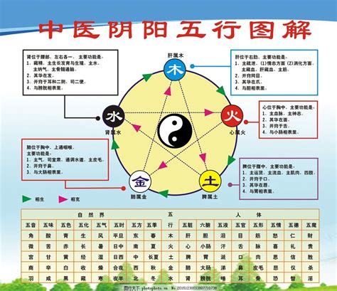 中醫五行|五行（中医术语）